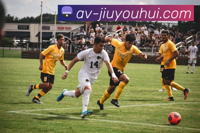 App Interface Preview